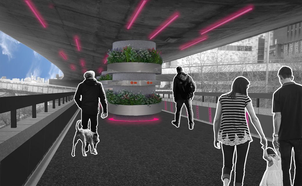 Friends of the Flyover - Walkways Visual